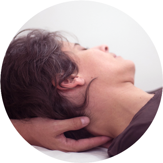 Josep Maria Aupi | Fisioterapia Integrativa